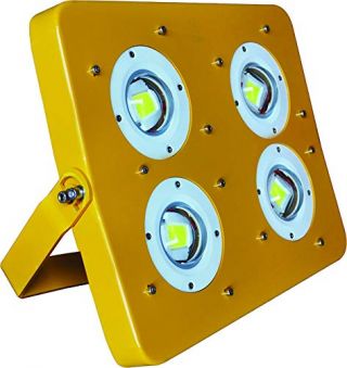 Flameproof Flood Light